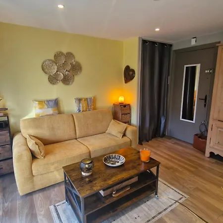 2 Pieces Climatise, Belle Terrasse, Parking Prive, Proche Centre-ville Et - Fr-1-780-43 Apartment *
