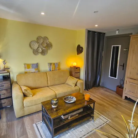 2 Pieces Climatise, Belle Terrasse, Parking Prive, Proche Centre-ville Et - Fr-1-780-43 Apartment
